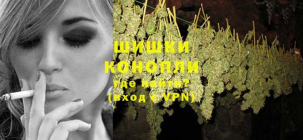 шишки Аркадак