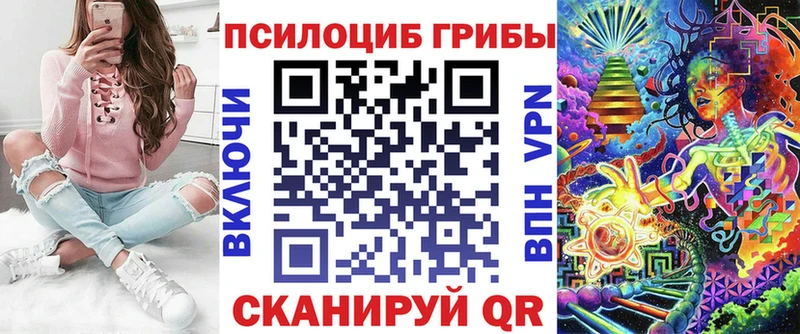 Псилоцибиновые грибы Psilocybine cubensis  Элиста 