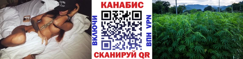 Бошки марихуана марихуана  где купить наркотик  Элиста 